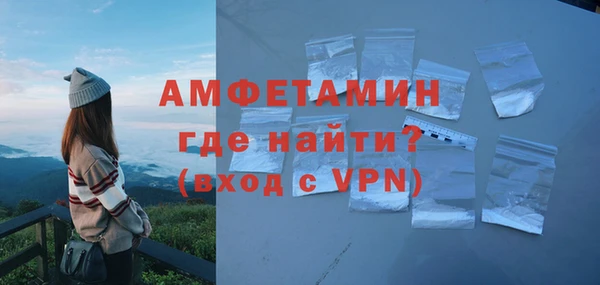 молекула духа Щигры