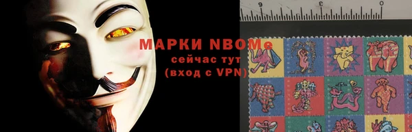 ПСИЛОЦИБИНОВЫЕ ГРИБЫ Слюдянка