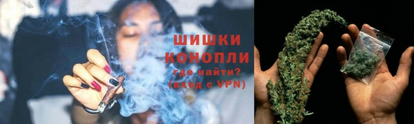 хмурый Мегион
