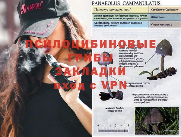 дмт Медногорск