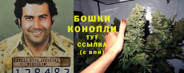 дмт Медногорск