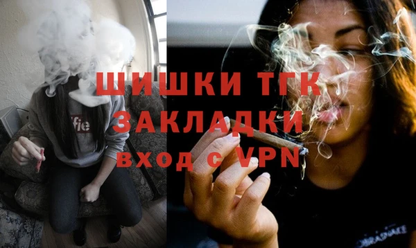 хмурый Мегион