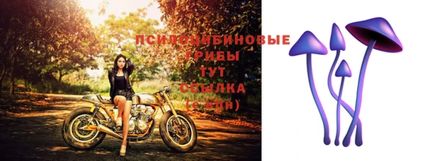 дмт Медногорск