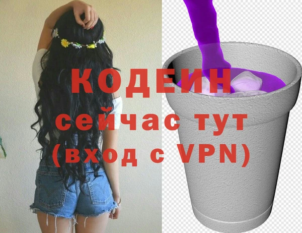 хмурый Мегион