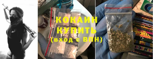 хмурый Мегион