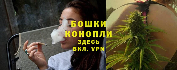 дмт Медногорск