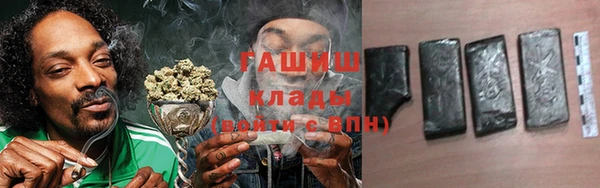хмурый Мегион