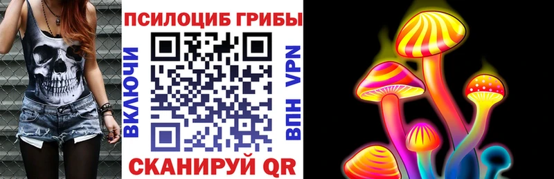 Псилоцибиновые грибы Magic Shrooms Юрьевец